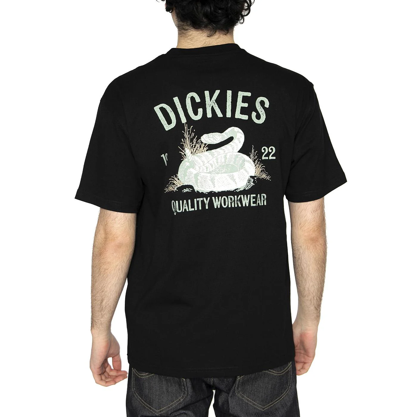 Dickies Snake SS Tee Black - Maglietta Girocollo Uomo Nera Uomo DICKIES - Image 3