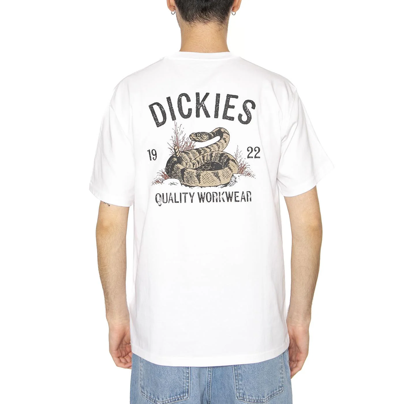 Dickies Snake SS Tee White - Maglietta Girocollo Uomo Bianca Uomo DICKIES - Image 3