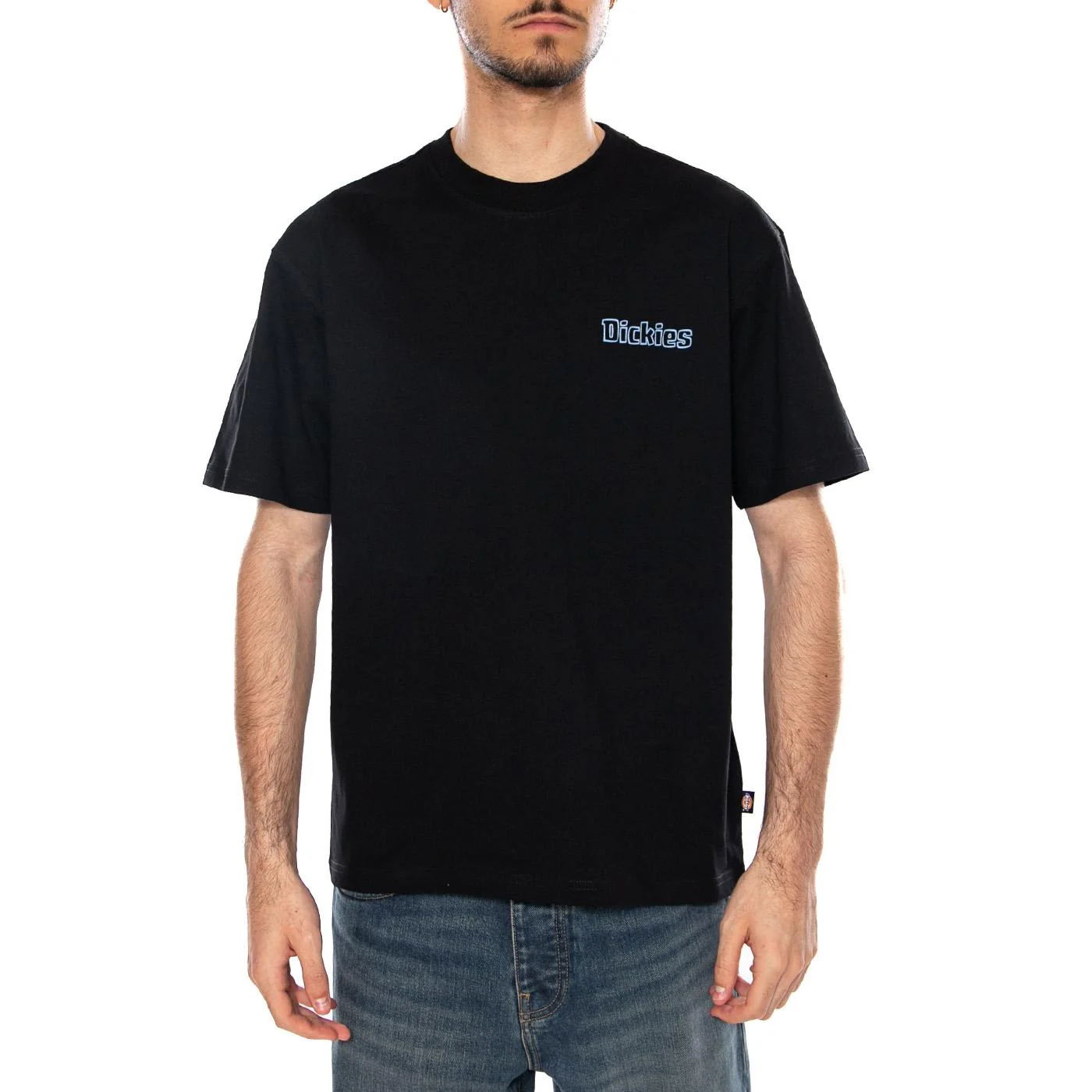 FAIRLAWN SS TEE BLACK - Maglietta Girocollo Uomo Nera Uomo DICKIES - Image 2