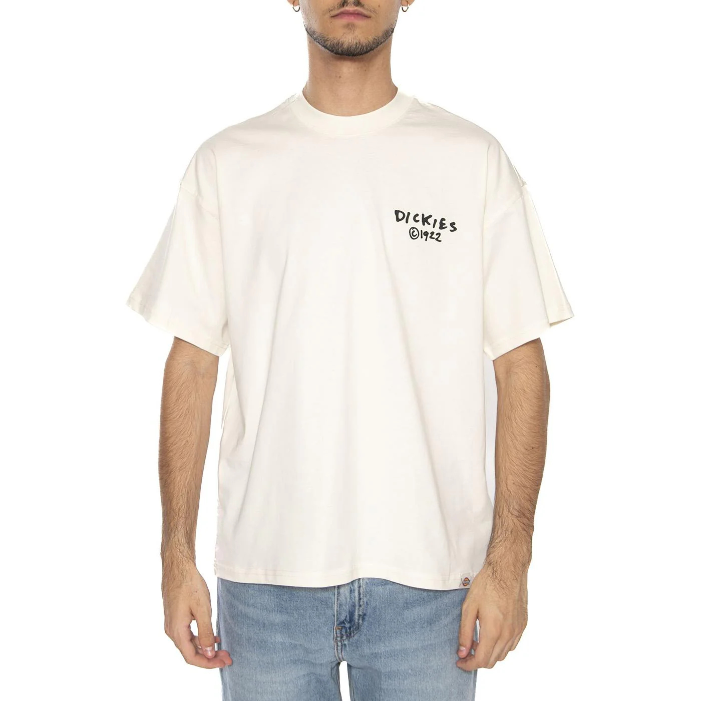 Sneedville Tee SS Egret - Maglietta Girocollo Uomo Beige Uomo DICKIES - Image 3