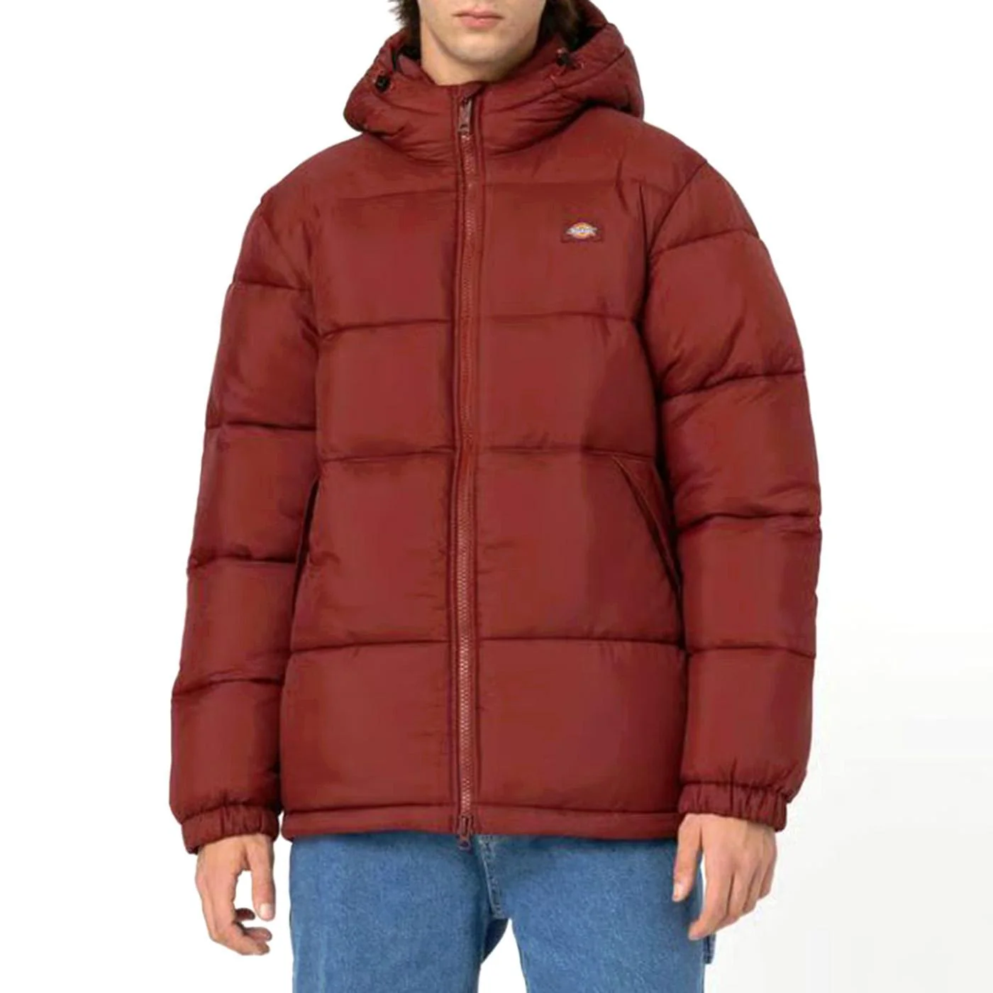 WALDENBURG HOODED JACKET FIRED BRICK - Giacca con Cappuccio Uomo Marrone Uomo DICKIES
